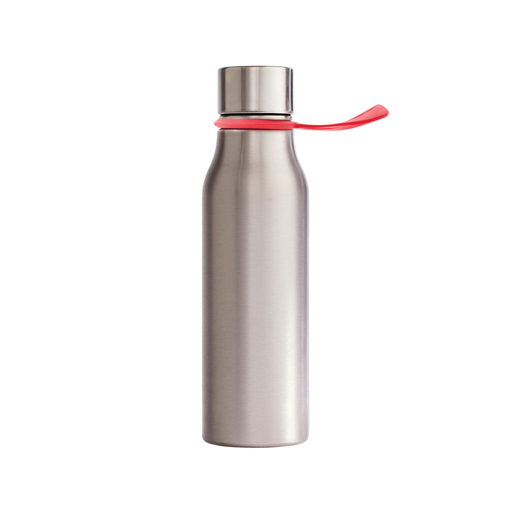 Vinga VINGA Lean water bottle steel