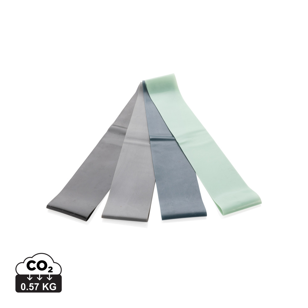 XD Collection 4pc elastic fitness bands in pouch