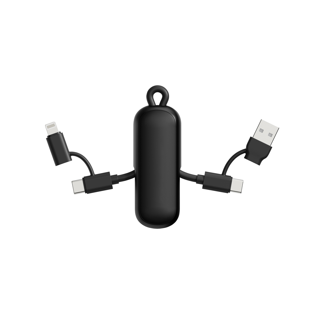 Urban Vitamin Urban Vitamin Dublin 100W 4 -in-1 keychain cable