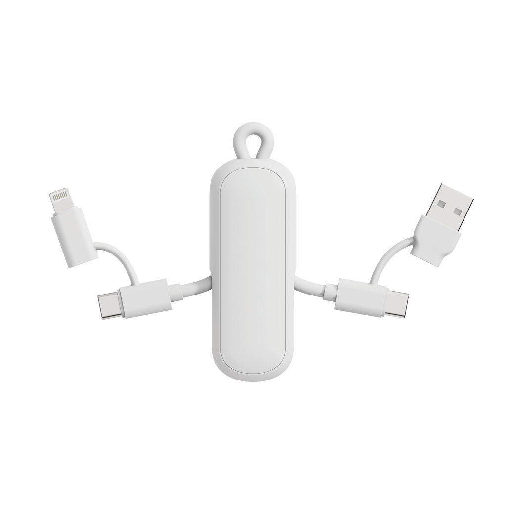 Urban Vitamin Urban Vitamin Dublin 100W 4 -in-1 keychain cable
